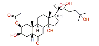 20-Hydroxyecdysone 2-acetate